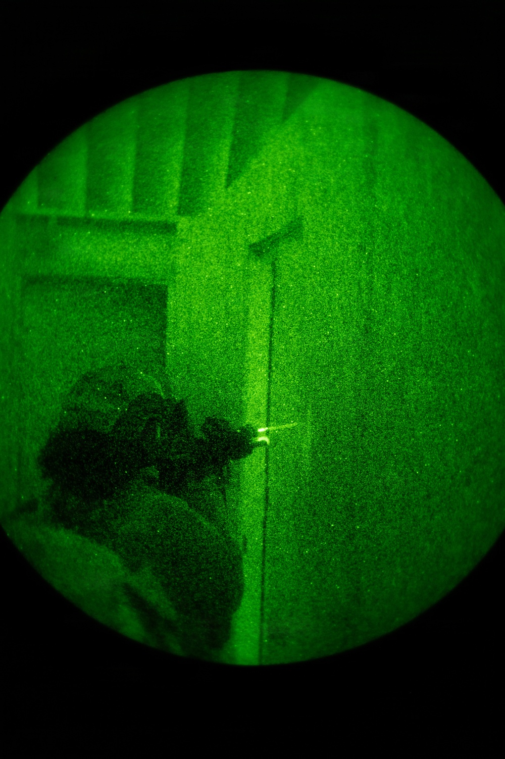 Silent Steps, Sharp Sights