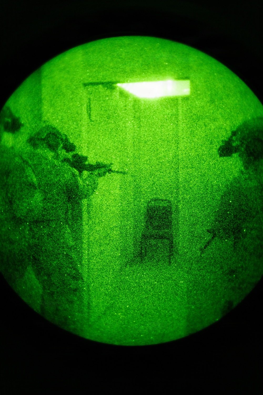 Silent Steps, Sharp Sights