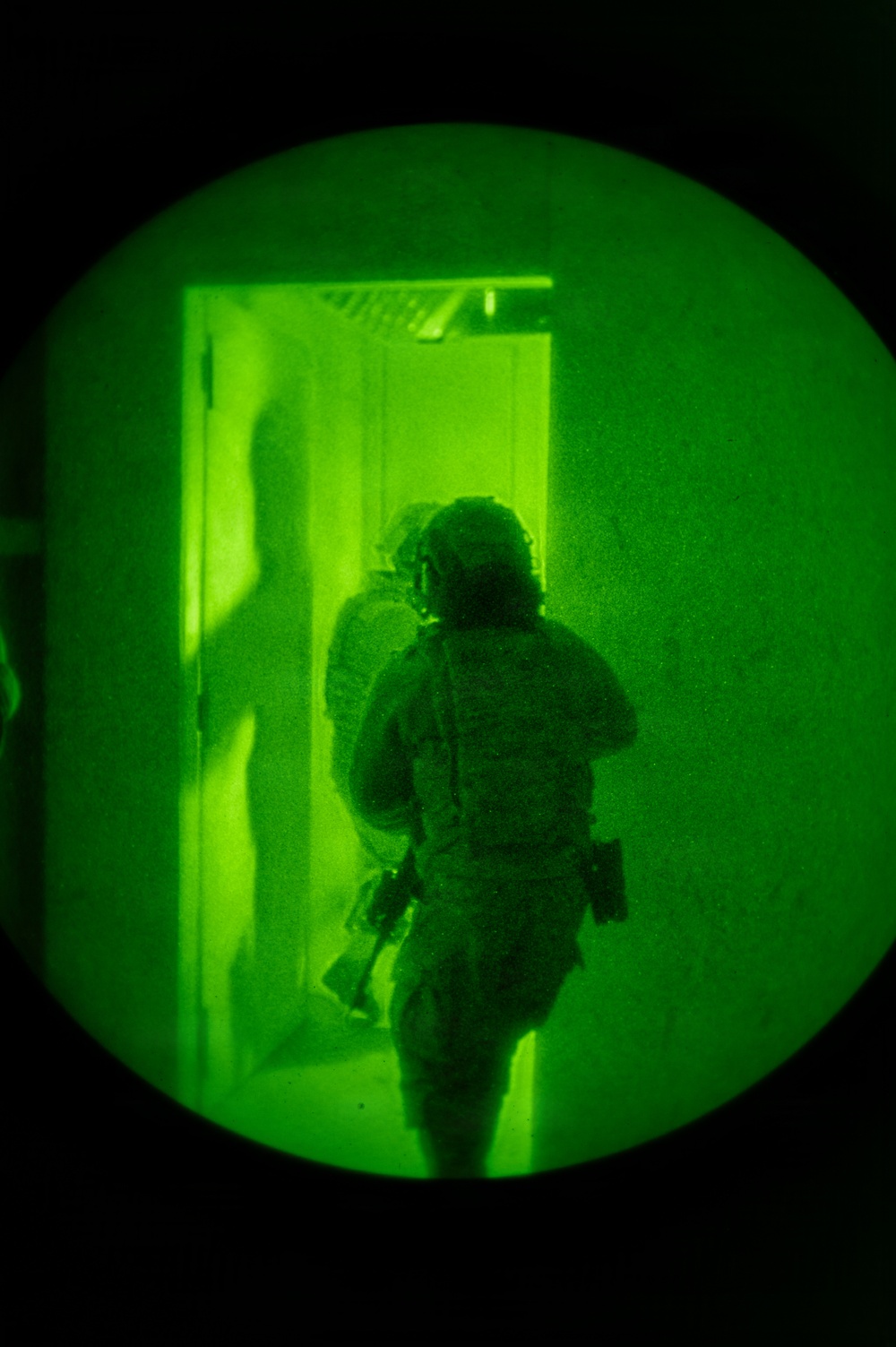Silent Steps, Sharp Sights
