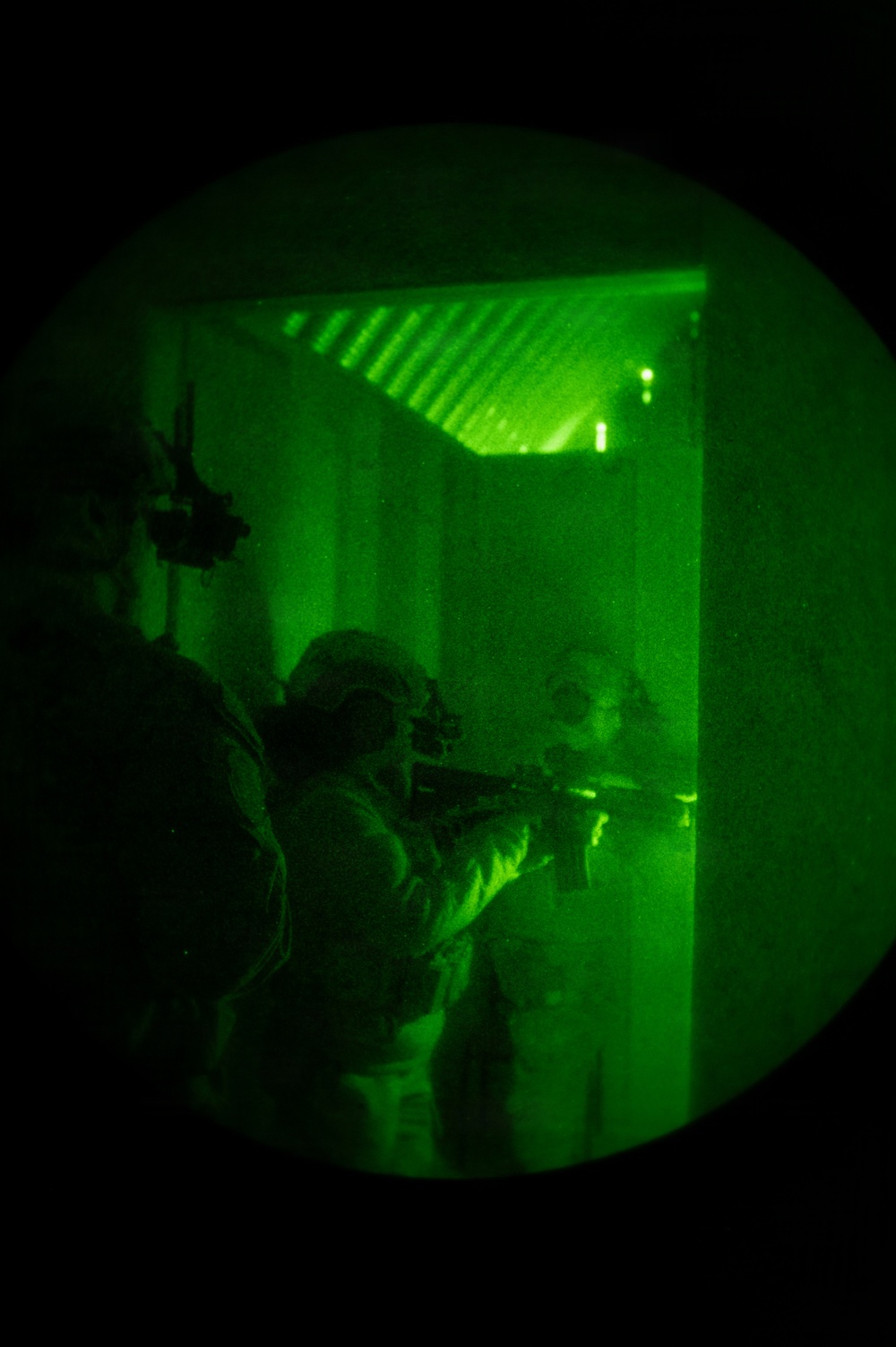 Silent Steps, Sharp Sights