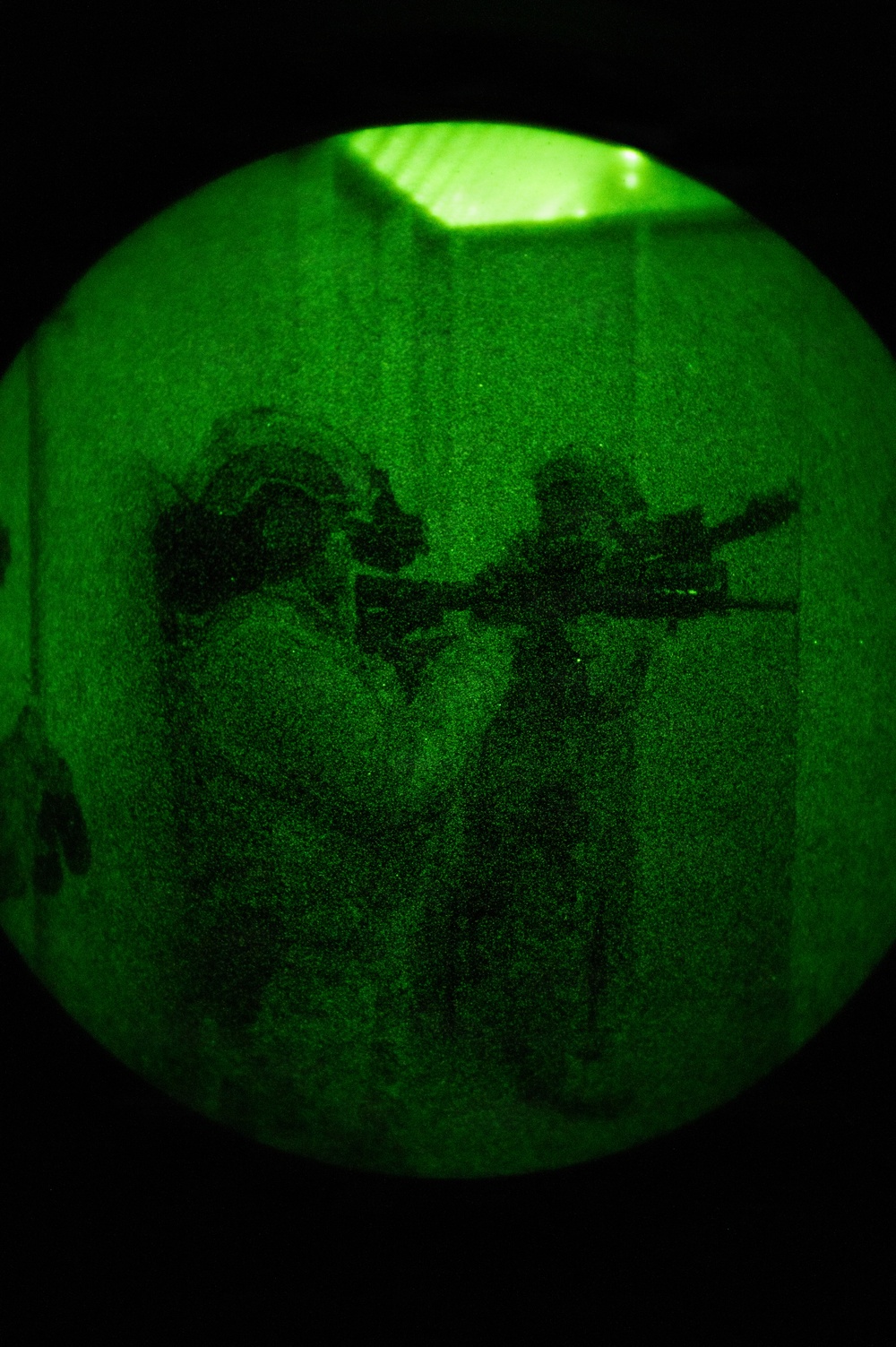 Silent Steps, Sharp Sights