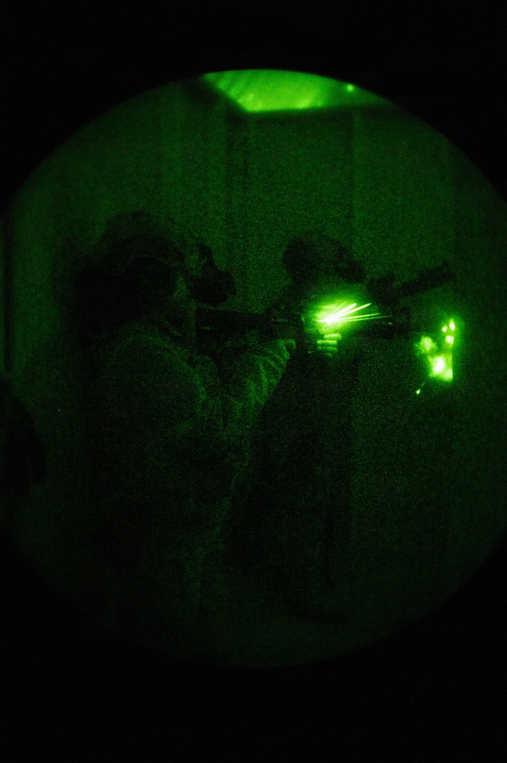 Silent Steps, Sharp Sights