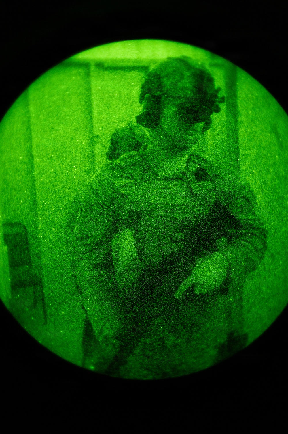 Silent Steps, Sharp Sights