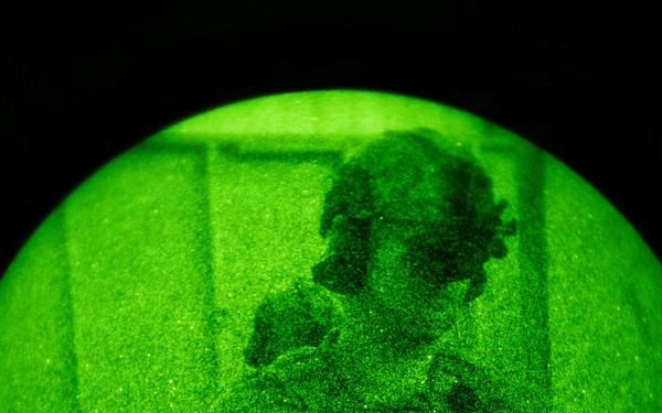 Silent Steps, Sharp Sights