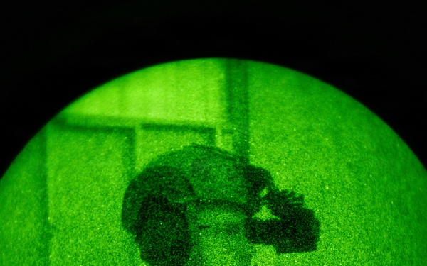Silent Steps, Sharp Sights