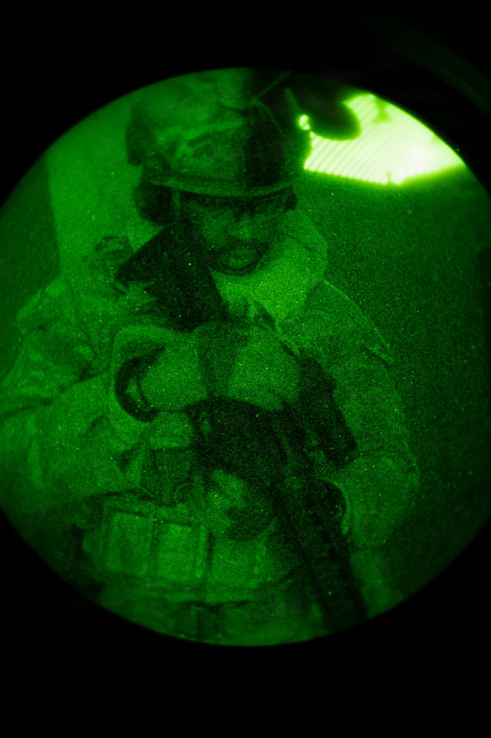 Silent Steps, Sharp Sights