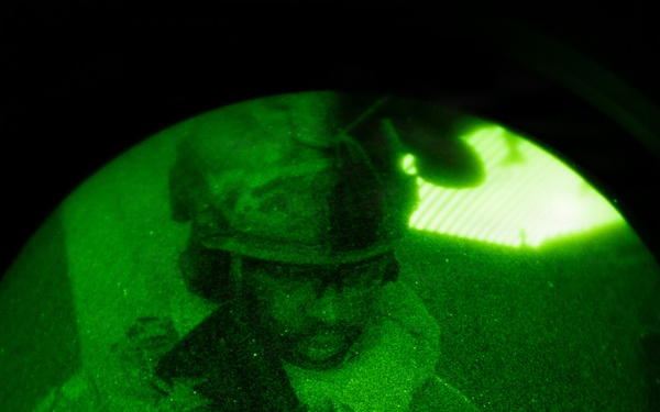 Silent Steps, Sharp Sights