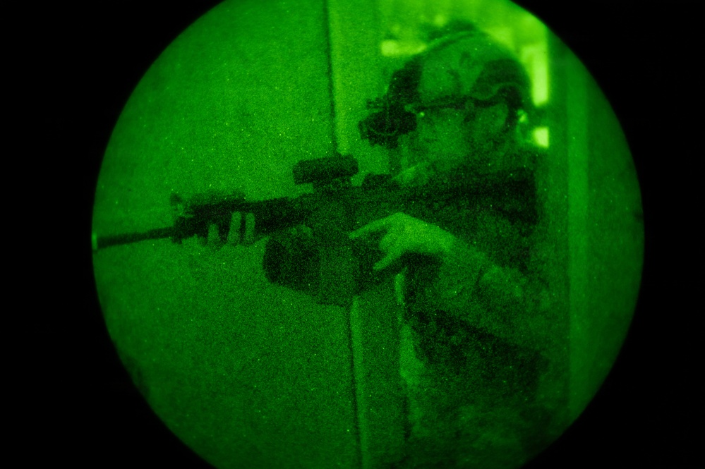 Silent Steps, Sharp Sights