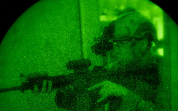 Silent Steps, Sharp Sights