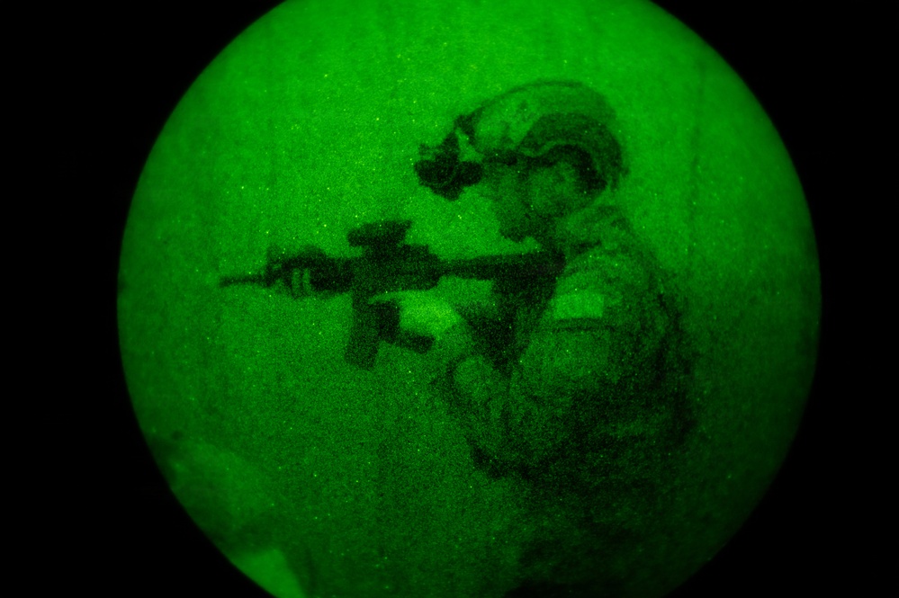 Silent Steps, Sharp Sights