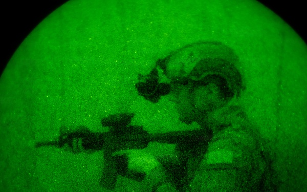 Silent Steps, Sharp Sights