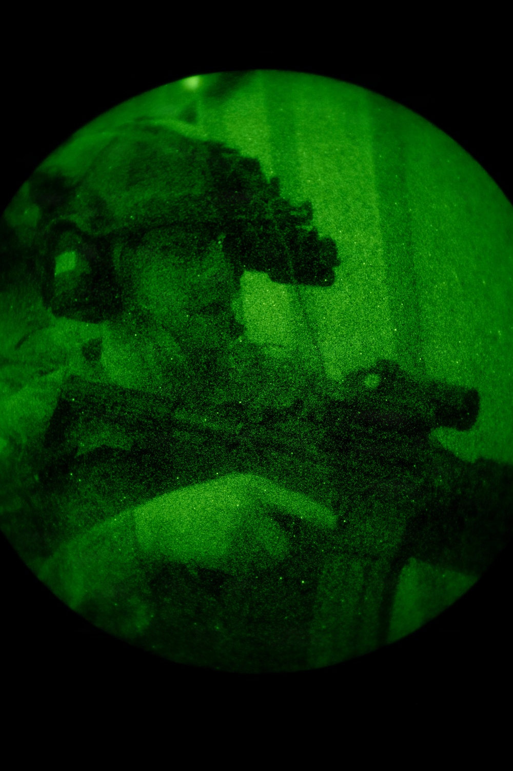 Silent Steps, Sharp Sights