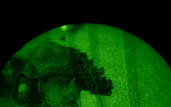 Silent Steps, Sharp Sights