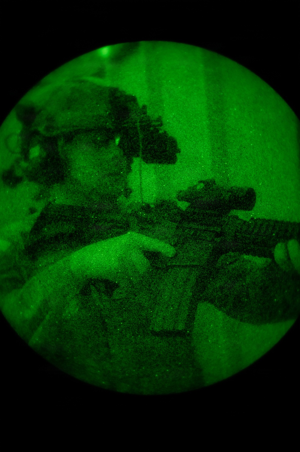 Silent Steps, Sharp Sights