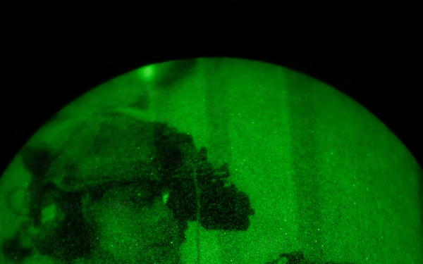 Silent Steps, Sharp Sights