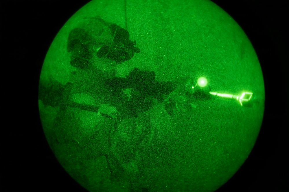 Silent Steps, Sharp Sights