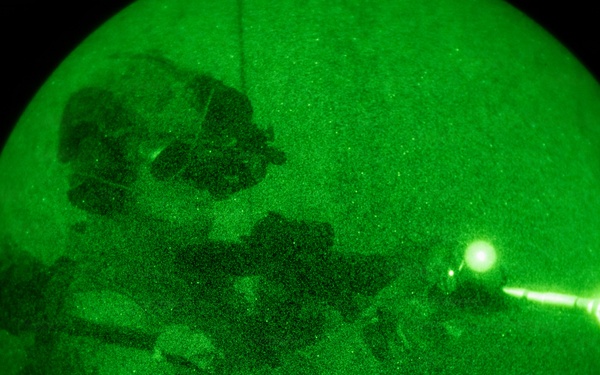 Silent Steps, Sharp Sights