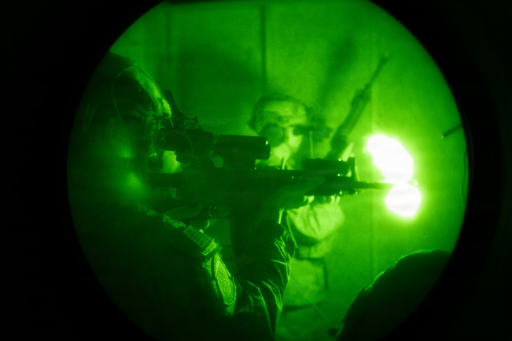 Silent Steps, Sharp Sights