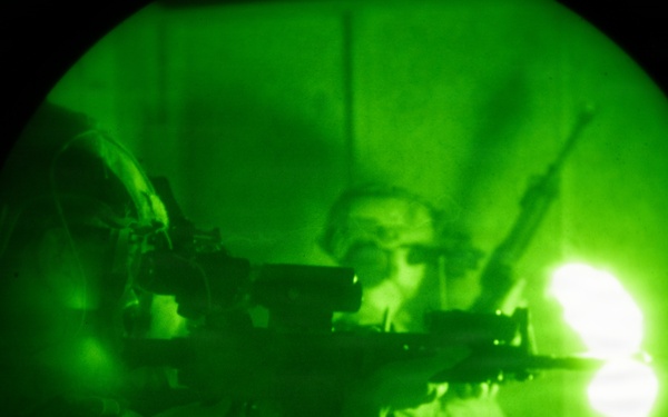 Silent Steps, Sharp Sights
