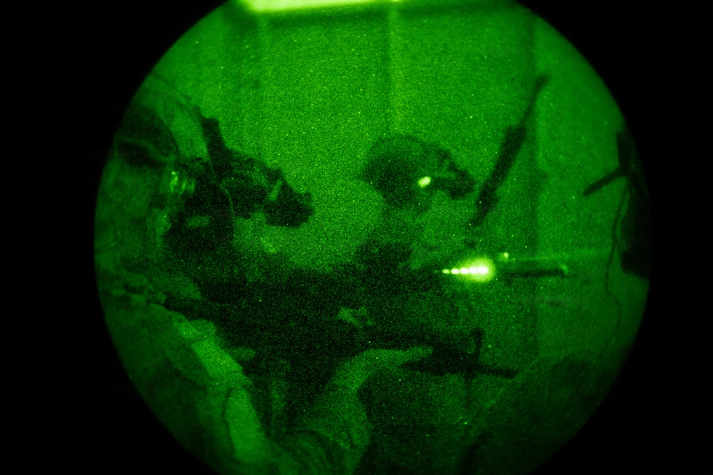 Silent Steps, Sharp Sights