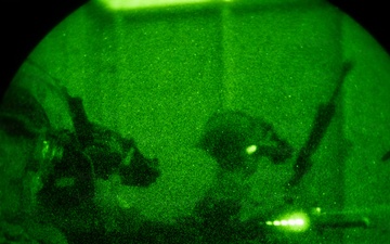 Silent Steps, Sharp Sights