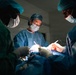 US, Italy, Senegal conduct surgeries during African Lion 2026
