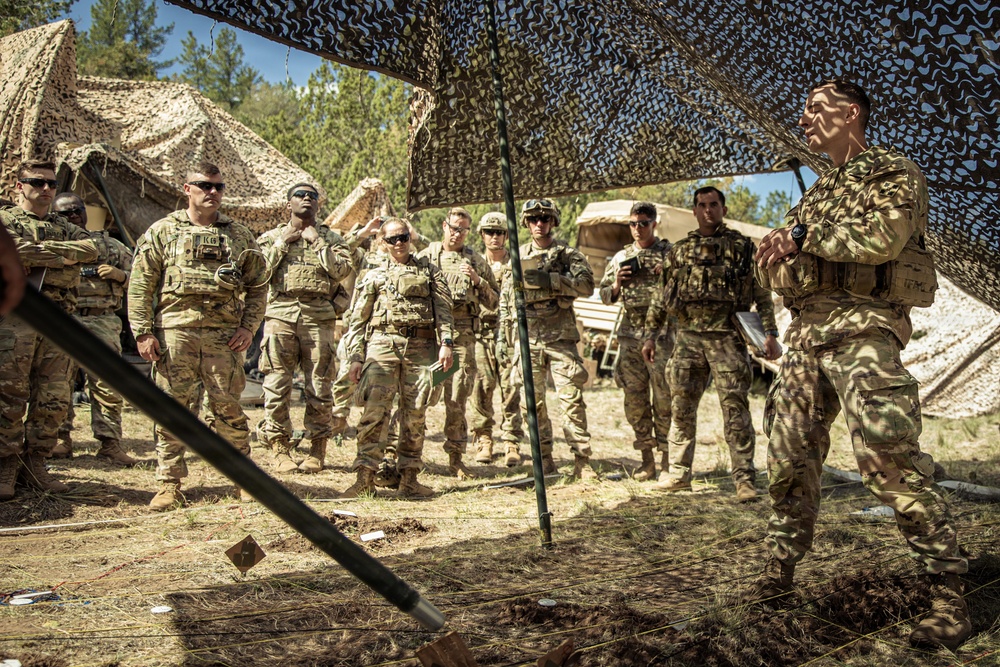Ivy Mass - 1st Battalion, 66th Armor Regiment