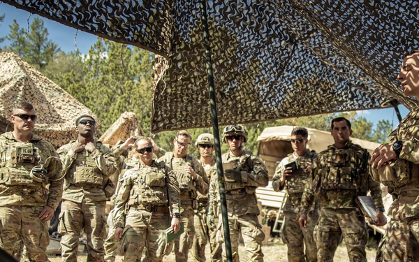 Ivy Mass - 1st Battalion, 66th Armor Regiment