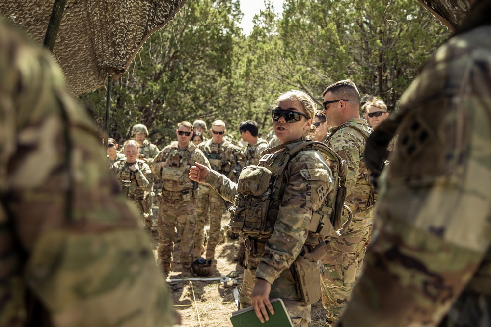 Ivy Mass - 1st Battalion, 66th Armor Regiment