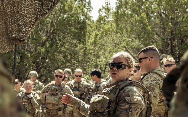 Ivy Mass - 1st Battalion, 66th Armor Regiment