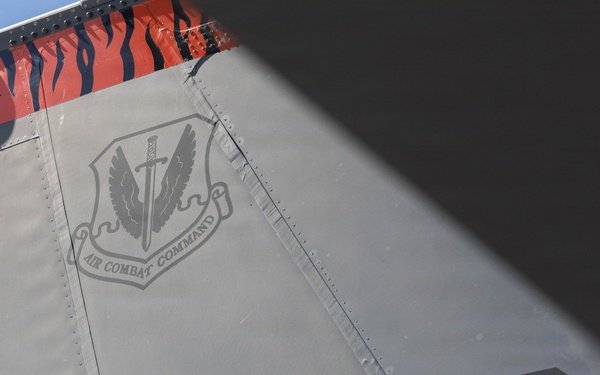 Exercise Garnet Rattler: U.S. Marines conduct range safety brief, F-15E Strike Eagle familiarization, CASEVAC ROC walk