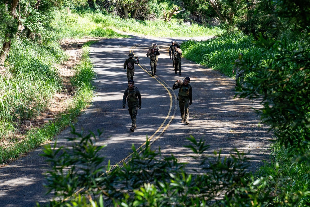 Multinational Soldiers hike Kolekole Pass at the 2026 Pacific Land Forces Team Readiness Challenge