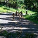 Multinational Soldiers hike Kolekole Pass at the 2026 Pacific Land Forces Team Readiness Challenge