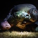 Balikatan 2026: Philippine Marine Corps, U.S. Army, Marines, Air Force, practice combative skills