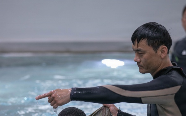 3rd Military Intelligence Battalion, 501st Brigade and 296th Republic of Korea Air Force Squadron, Black Bats, Participate in Water Survival Training