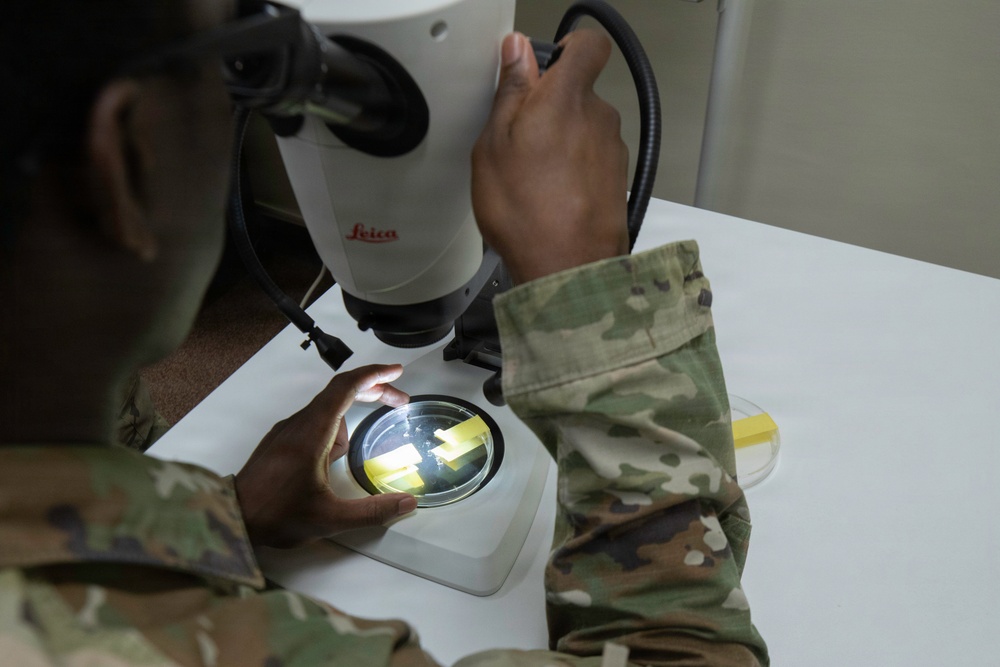 Wildlife Readiness: Joint Service Preventive Medicine Training with Mosquito Identification and Safe Snake Handling