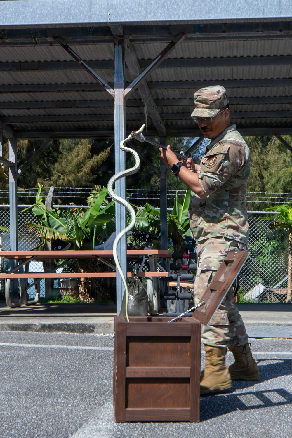 Wildlife Readiness: Joint Service Preventive Medicine Training with Mosquito Identification and Safe Snake Handling
