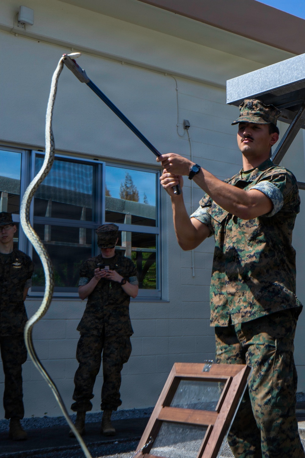Wildlife Readiness: Joint Service Preventive Medicine Training with Mosquito Identification and Safe Snake Handling