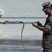 Wildlife Readiness: Joint Service Preventive Medicine Training with Mosquito Identification and Safe Snake Handling