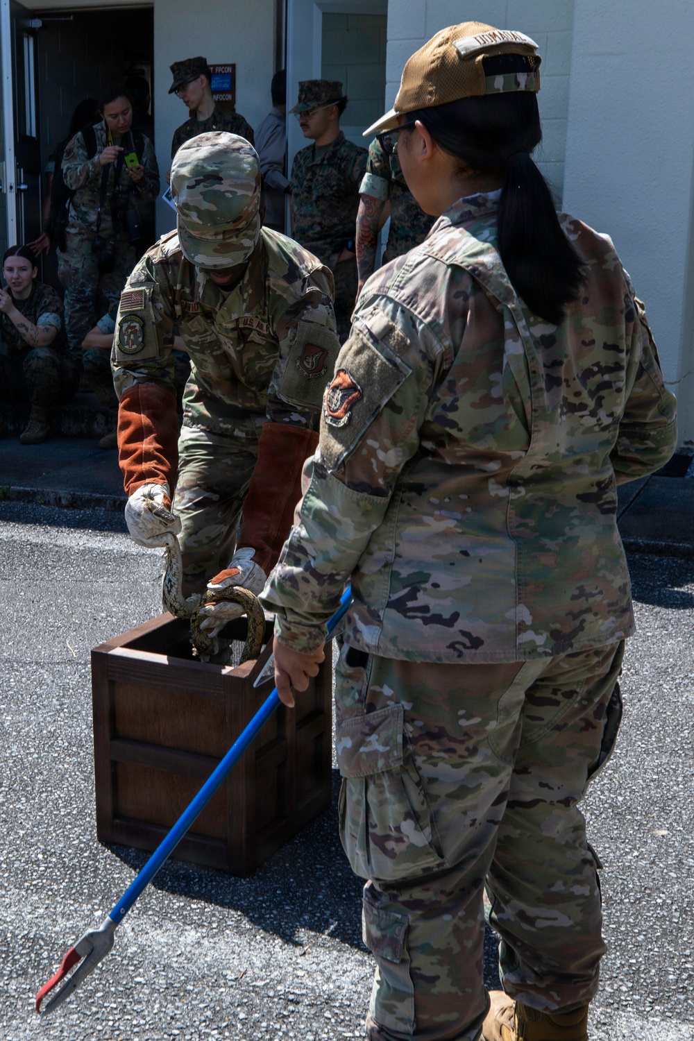 Wildlife Readiness: Joint Service Preventive Medicine Training with Mosquito Identification and Safe Snake Handling