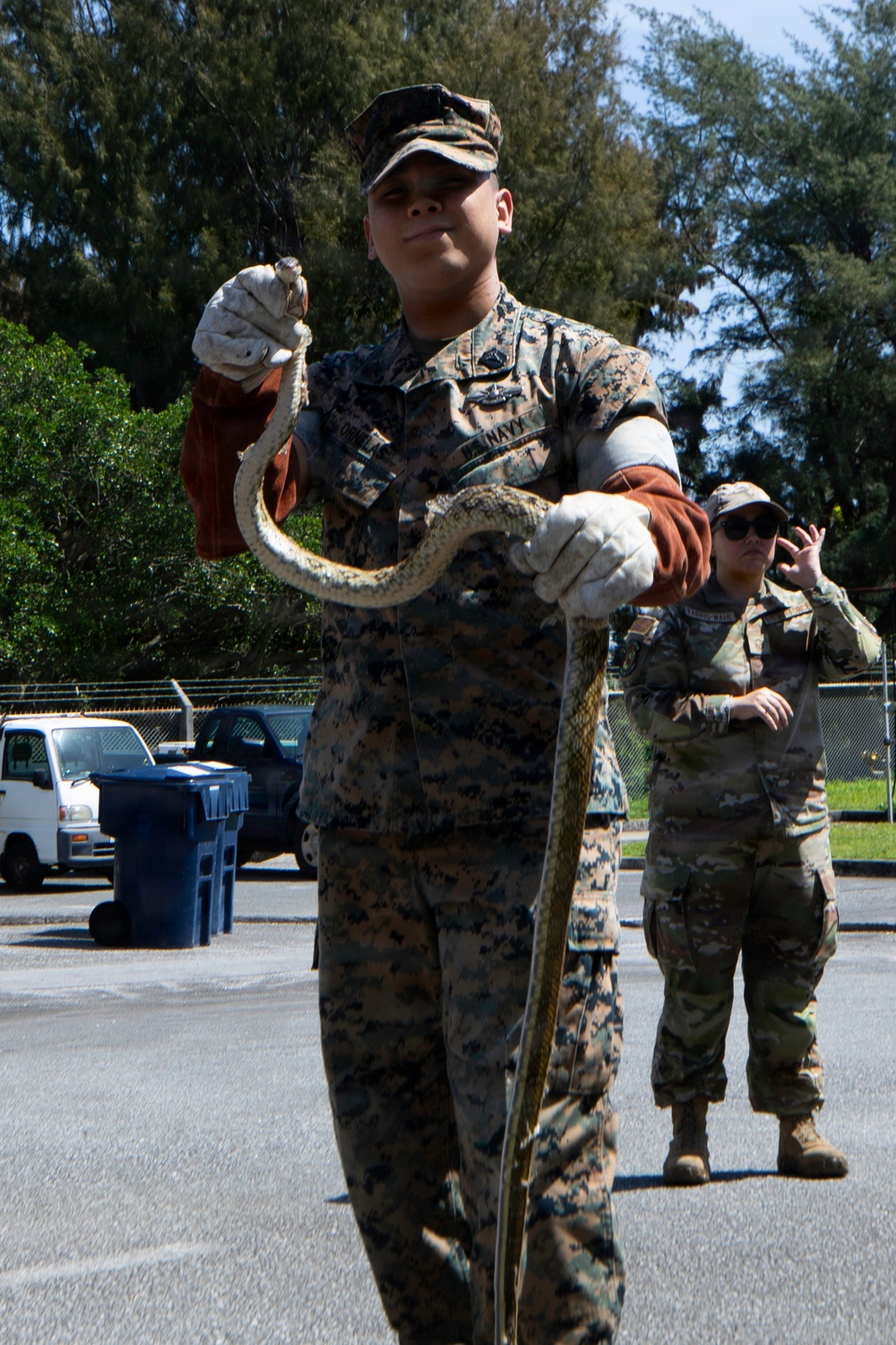 Wildlife Readiness: Joint Service Preventive Medicine Training with Mosquito Identification and Safe Snake Handling