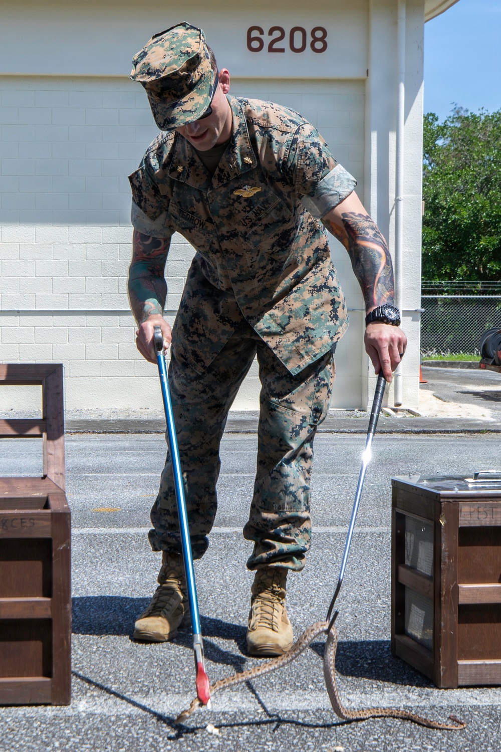 Wildlife Readiness: Joint Service Preventive Medicine Training with Mosquito Identification and Safe Snake Handling