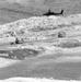 Balikatan 2026: Task Force Saber AH-64 Apaches provide security during long-range maritime air assault