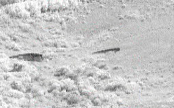 Balikatan 2026: Task Force Saber AH-64 Apaches provide security during long-range maritime air assault