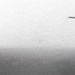 Balikatan 2026: Task Force Saber AH-64 Apaches provide security during long-range maritime air assault