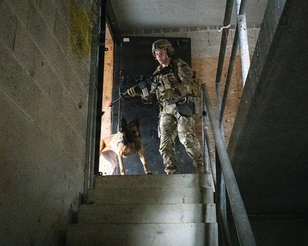 K-9 Explosives Detection Training