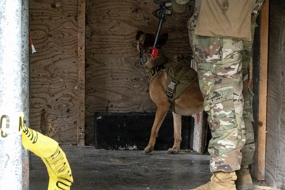 K-9 Explosives Detection Training
