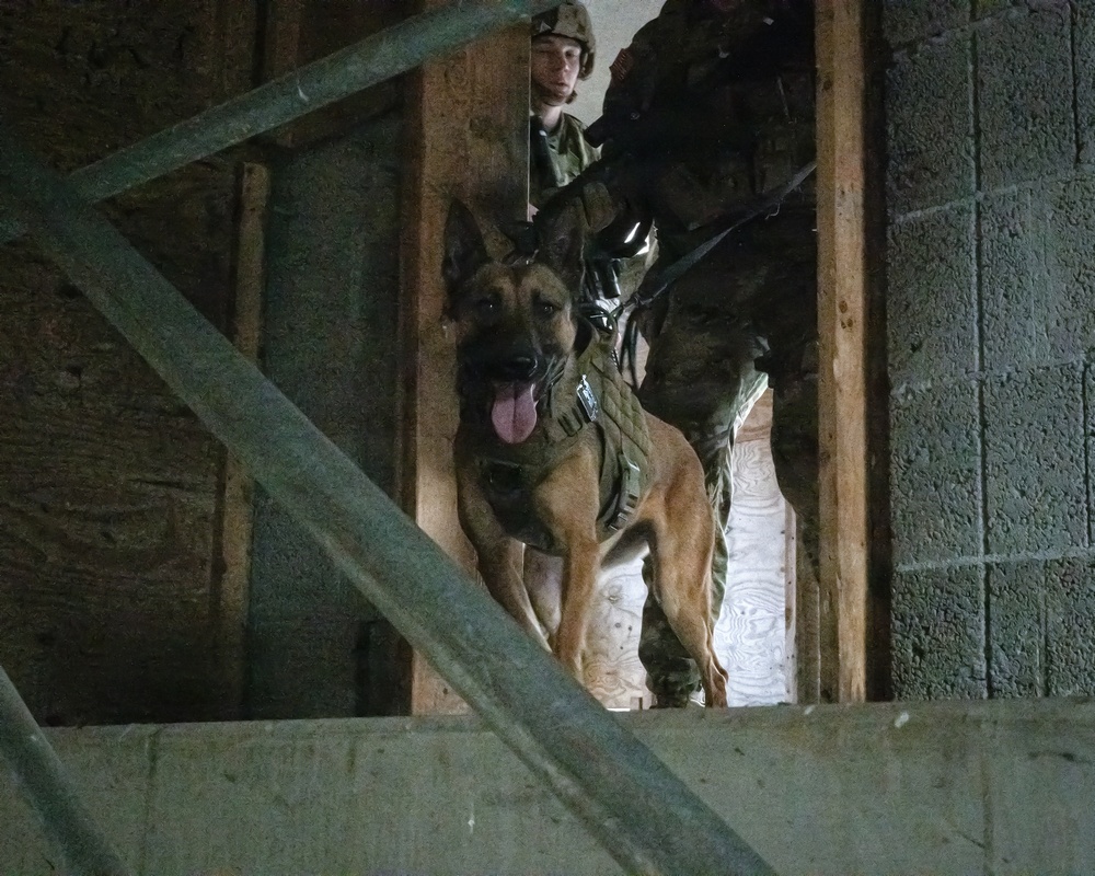 K-9 Explosives Detection Training
