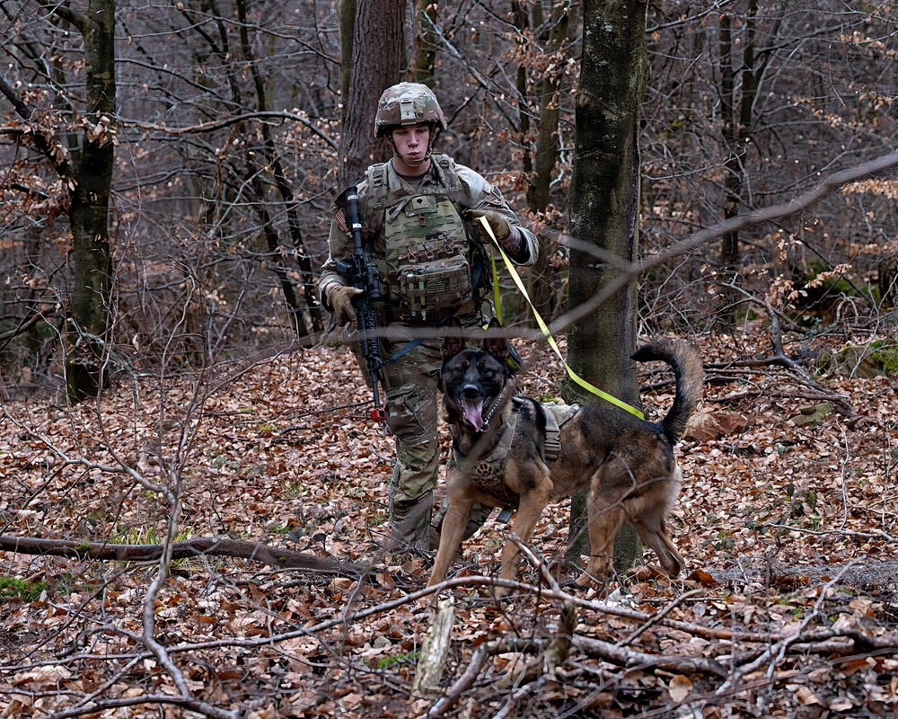 K-9 Explosives Detection Training