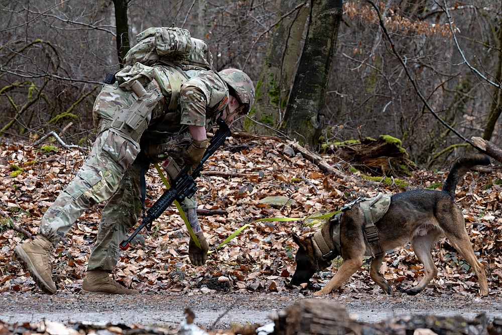 K-9 Explosives Detection Training